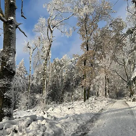 Gast - Gästehaus Astenblick Winterberg Exterior foto