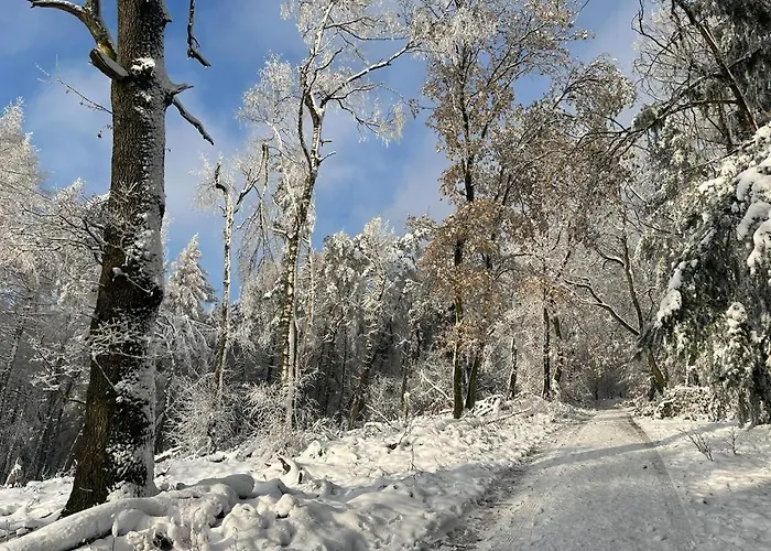 Haus Astenblick In Winterberg Fuer Bis Zu 35 Personen Fuer Wanderveranstaltungen Und Familienfeiern