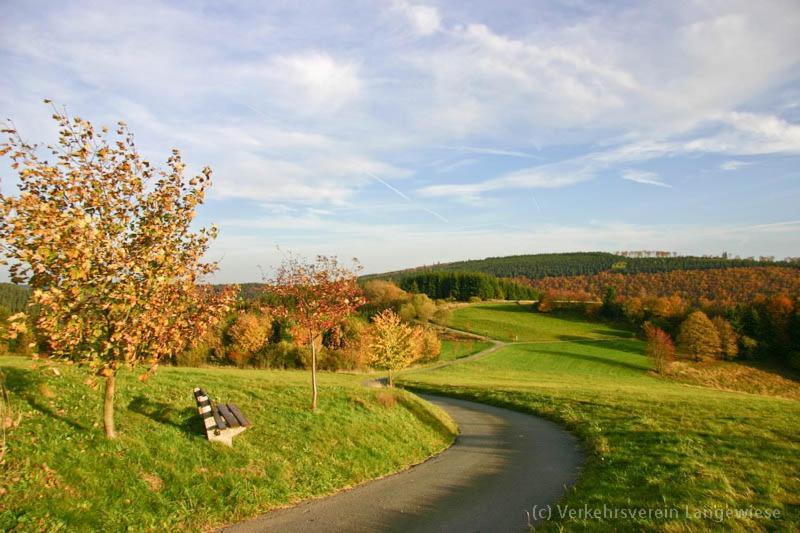 Haus Astenblick In Winterberg Fuer Bis Zu 35 Personen Fuer Wanderveranstaltungen Und Familienfeiern Apartment *