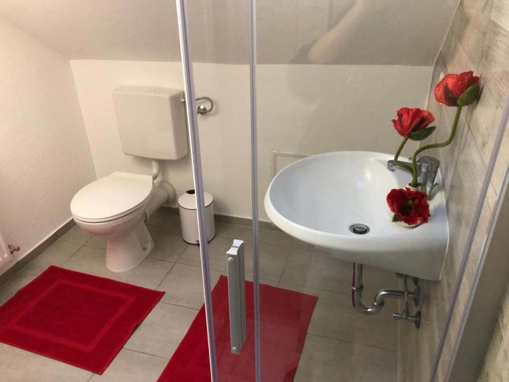 Haus Astenblick In Winterberg Fuer Bis Zu 35 Personen Fuer Wanderveranstaltungen Und Familienfeiern Apartment