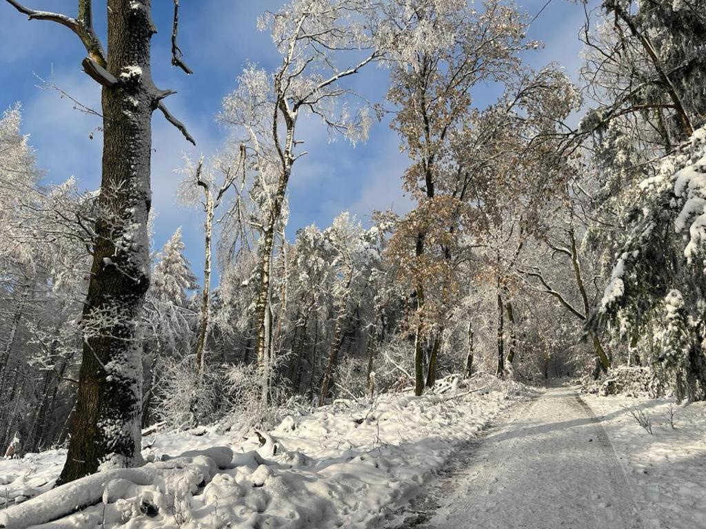 Haus Astenblick In Winterberg Fuer Bis Zu 35 Personen Fuer Wanderveranstaltungen Und Familienfeiern